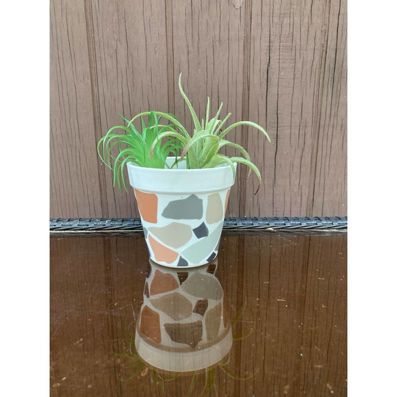 TERRAZZO Pattern Planter - Small Flower Plant Pot - Indoor Outdoor Planter - Picture 5 of 6